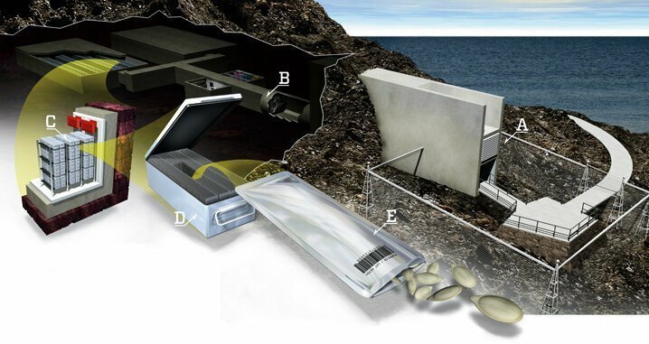 Для чего на Шпицбергене построено всемирное хранилище семян?