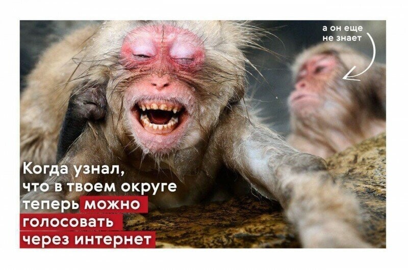 По-моему этим не воспользуется только идиот