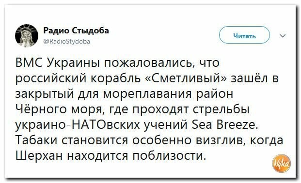 Политические картинки