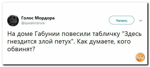 Политические картинки