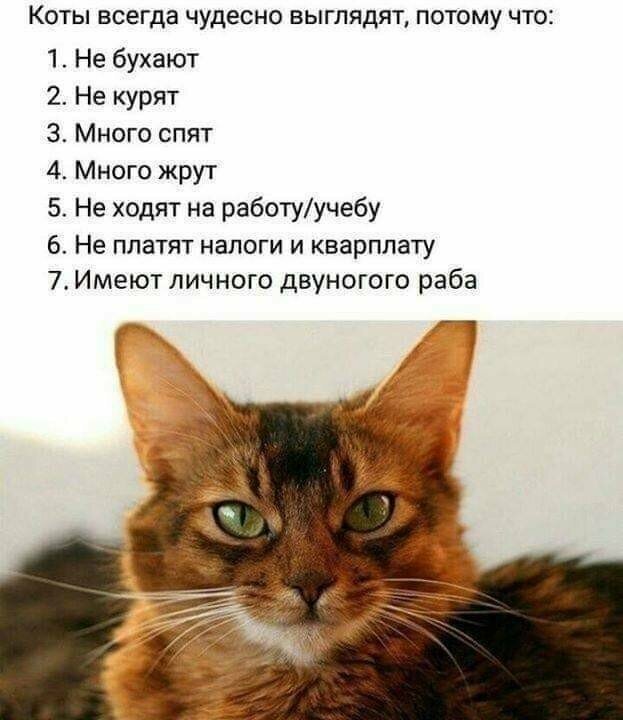 Скриншоты из социальных сетей