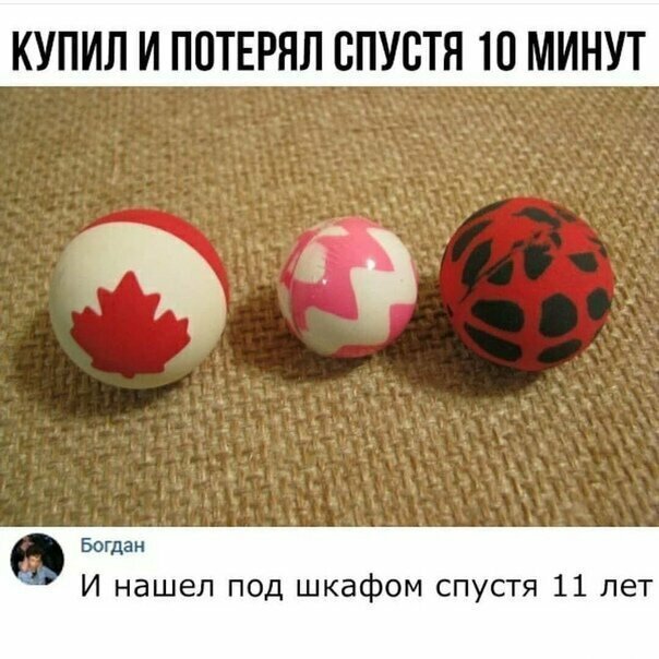 Прикольные и смешные картинки