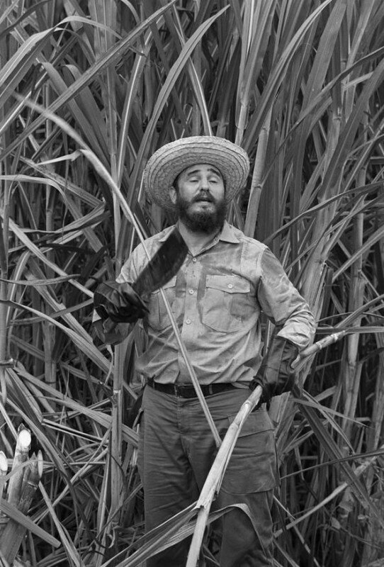 Фидель Кастро дает мастер-класс по рубке тростника. Республика Куба. 16 июля 1969 года.