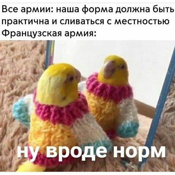 Прикольные и смешные картинки