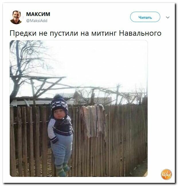 Политические картинки 2