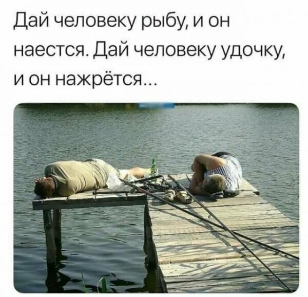 Прикольные и смешные картинки