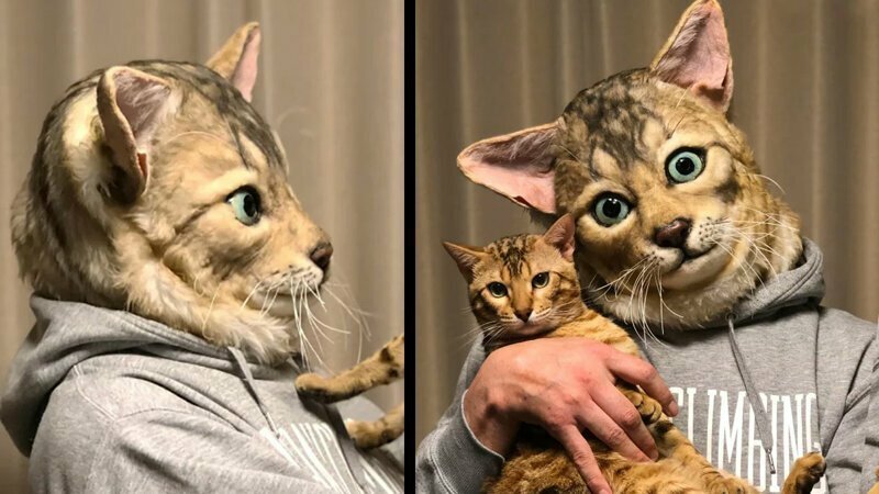 Японцы создают реалистичные маски кошек для их хозяев