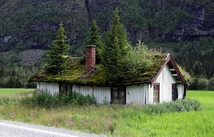 3. Заброшенный дом в норвежском стиле