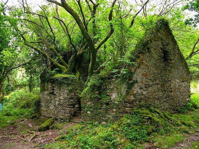 32. Заброшенный каменный дом. Ирландия