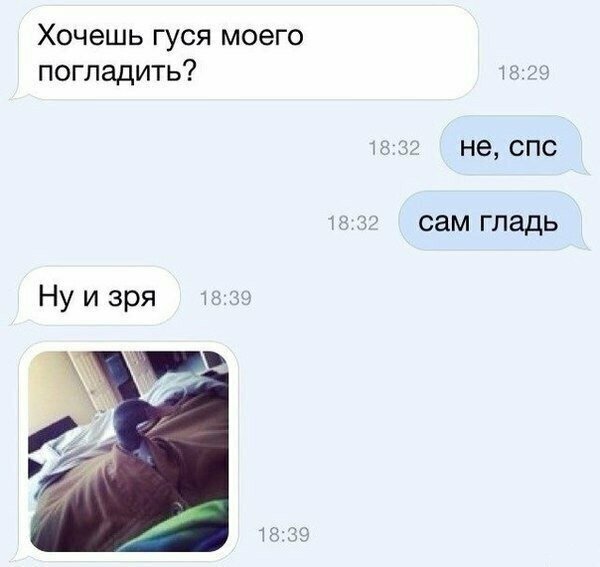 Прикольные и смешные картинки