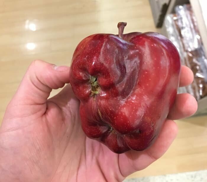 А это настоящее яблоко Франкенштейна