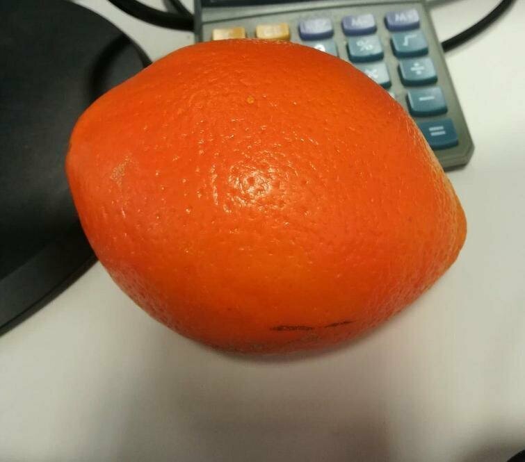 Этот апельсин прекрасно себя чувствует будучи лимоном