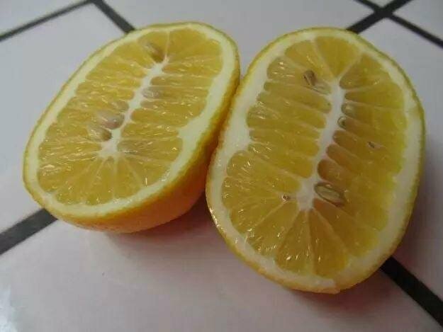 Что не так с этим лимоном?