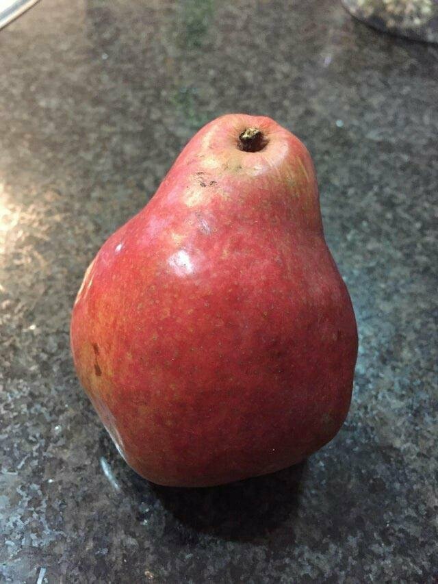 А ещё на эту грушу, чья кожура похожа на яблоко