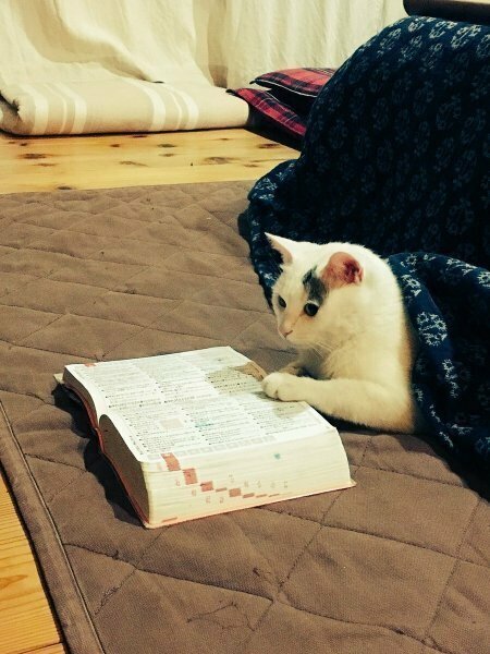 Он очень любит посидеть с книгой перед сном, и мне всё-таки кажется он читает