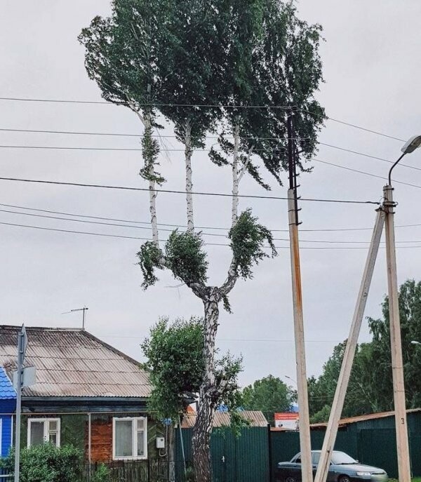 Намешалось