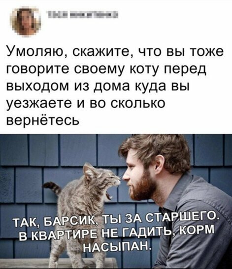 Прикольные и смешные картинки