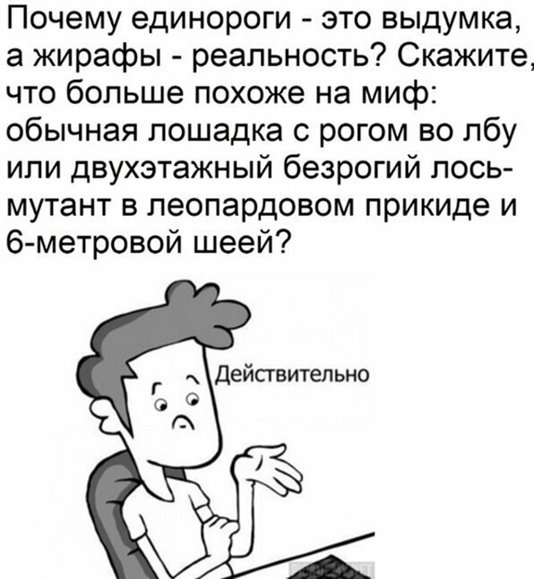 Прикольные и смешные картинки