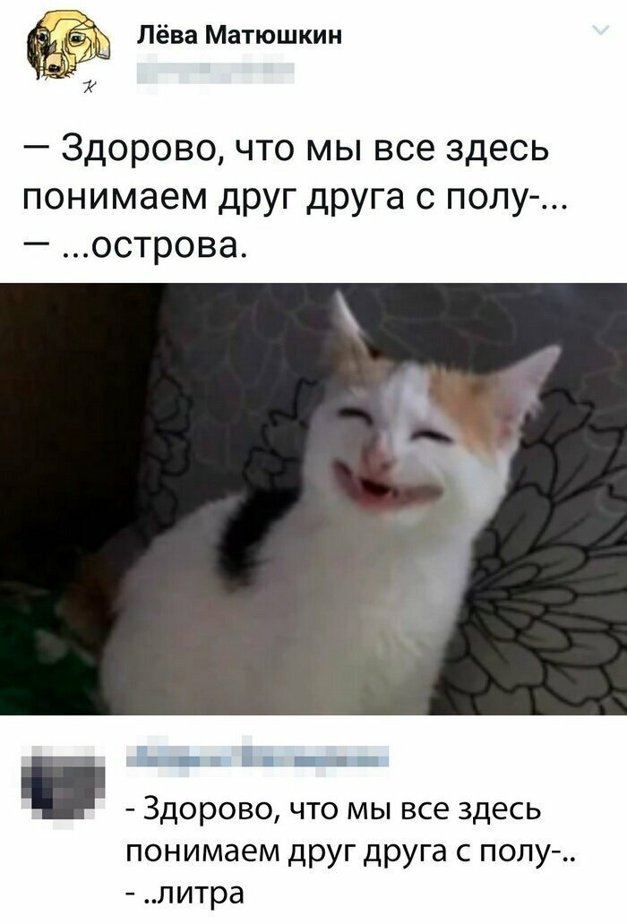 Скриншоты из социальных сетей