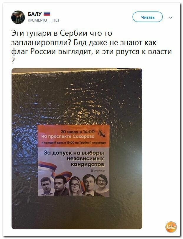 Политические картинки