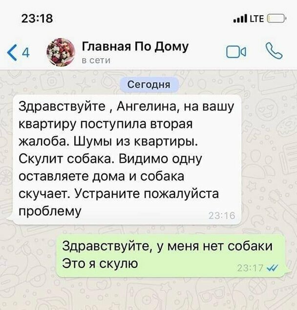 Прикольные и смешные картинки