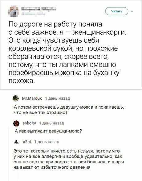 Прикольные и смешные картинки