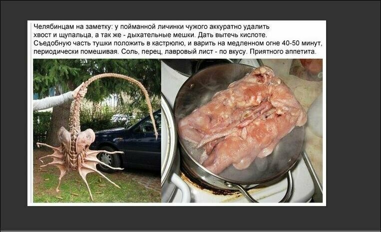 Хохотальня