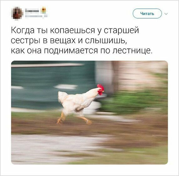 Прикольные и смешные картинки