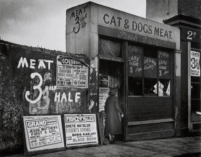 Торговцы кошачьим мясом в Лондоне: не то, что вы подумали