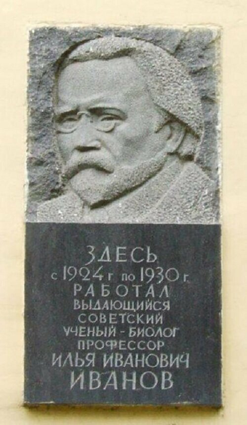 Как советский биолог пытался скрестить человека и обезьяну, и что из этого вышло