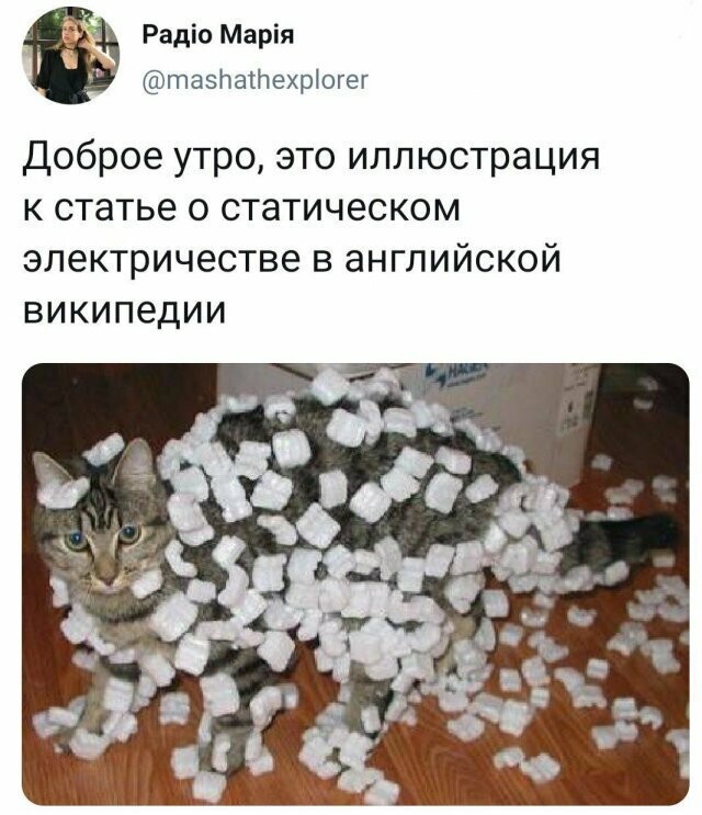 Скриншоты из социальных сетей