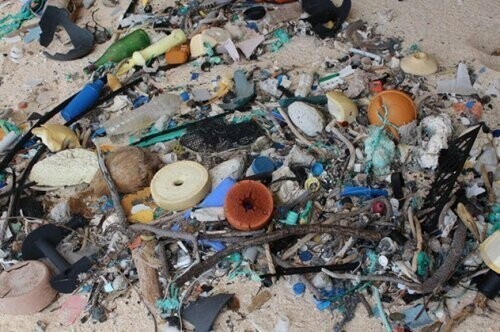Самое загрязненное пластиком место в мире