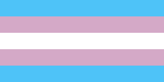 6. Транс-флаг
