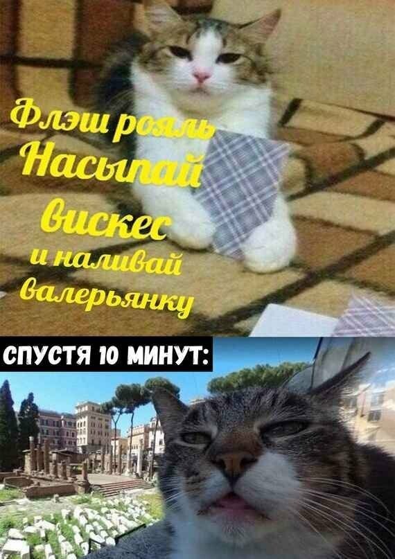 Картинки с надписями