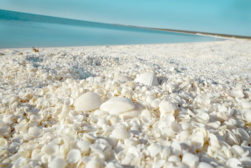 пляж в Австралии, один из немногих в мире, который вместо песка полностью пок...