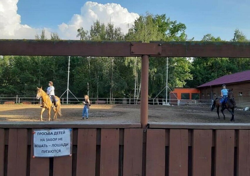 Фотоподборка от Димон за 25 июля 2019