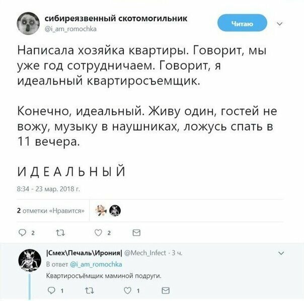 Прикольные и смешные картинки