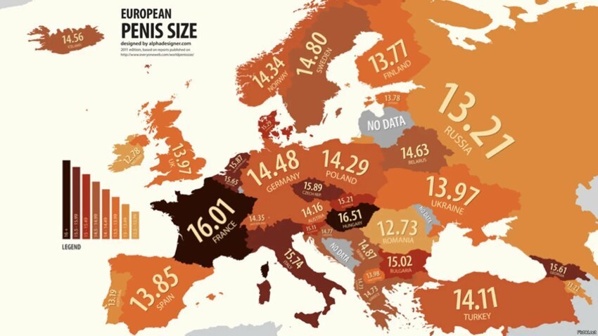 Размер европейского пениса