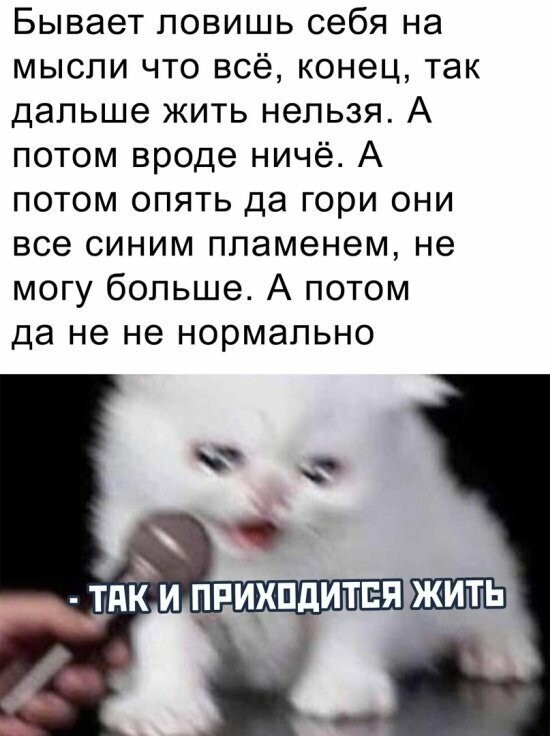 Намешалось