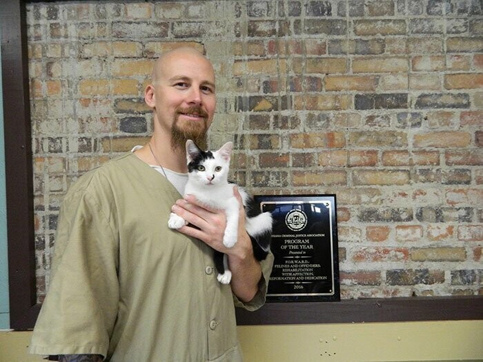 Но программа помогает не только кошкам. Заключенным предоставляется возможность научиться заботиться и брать на себя ответственность за живое существо
