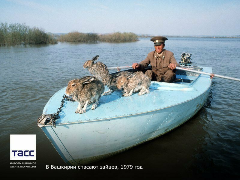 Фотографии СССР которые я вижу впервые. Фоторепортаж