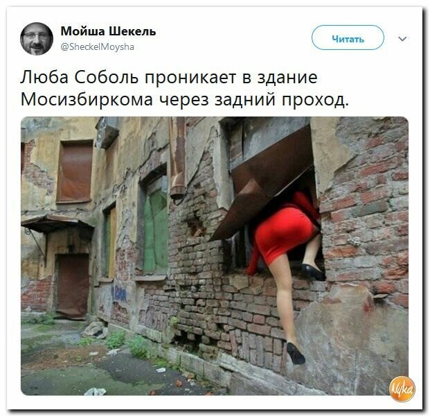 Политические картинки