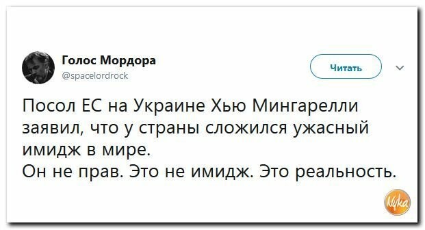 Политические картинки