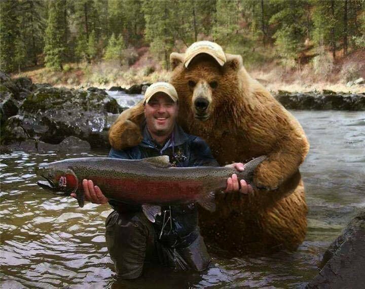 Рыбак, Медведь и рыба