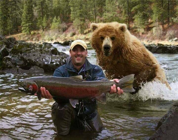 Рыбак, рыба и Медведь