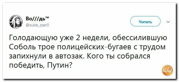 Политические картинки