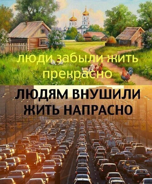 Прикольные и смешные картинки