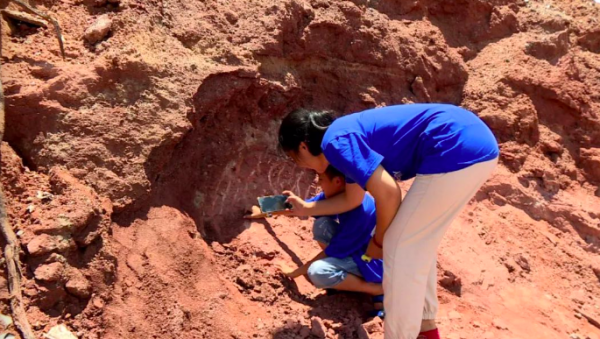 В Китае мальчик нашел яйца динозавра возрастом 66 миллионов лет