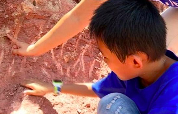 В Китае мальчик нашел яйца динозавра возрастом 66 миллионов лет