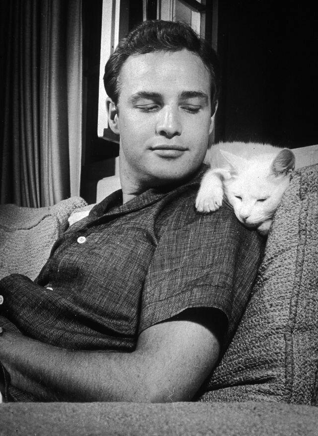Марлон Брандо с кошкой в своем доме в Лос-Анджелесе, Калифорния, 1954